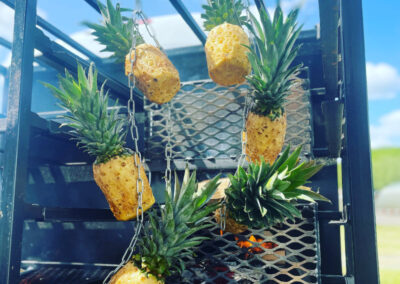 Hungry Monkey Catering Events